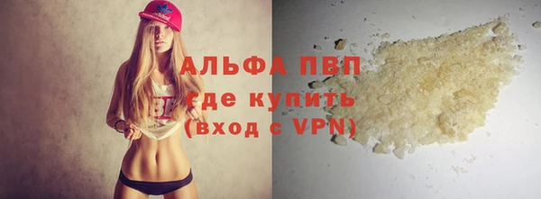 СК Сосновый Бор