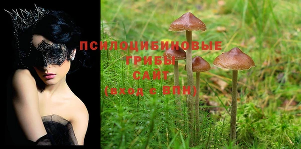 кокс Белоозёрский