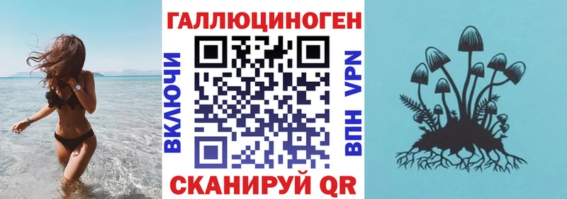 darknet формула  Гатчина  Псилоцибиновые грибы прущие грибы  blacksprut сайт 