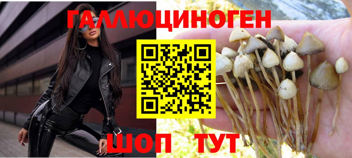Псилоцибиновые грибы прущие грибы Гатчина