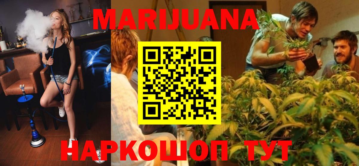 МАРИХУАНА сатива Гатчина